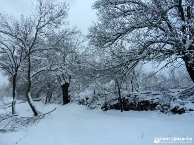 nieve, invierno, cañada; rutas senderismo comunidad de madrid parque nacional de covadonga senderis